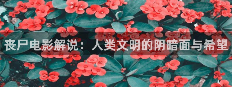 星辰影院美女：丧尸电影解说：人类文明的阴暗面与希望