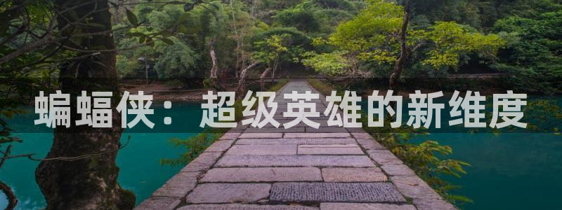星辰影院看电影：蝙蝠侠：超级英雄的新维度
