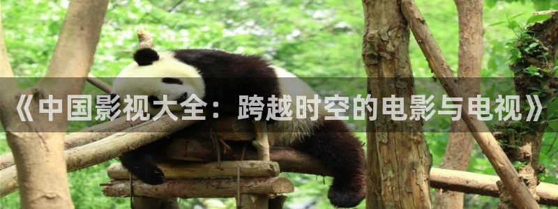 我是特种兵星辰影院：《中国影视大全：跨越时空的电影与电视》