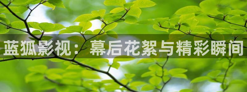 星辰影院欧美：蓝狐影视：幕后花絮与精彩瞬间