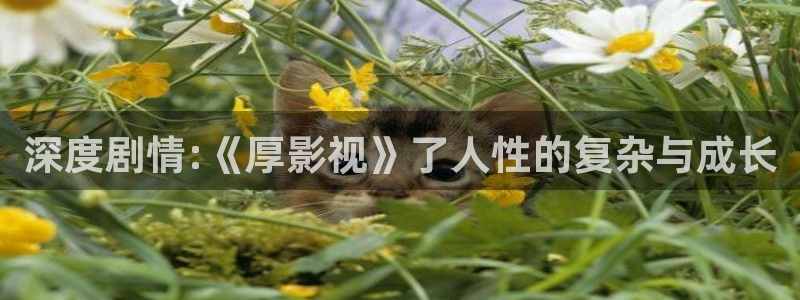 星辰影院免费观影在线：深度剧情:《厚影视》了人性的复杂与成长