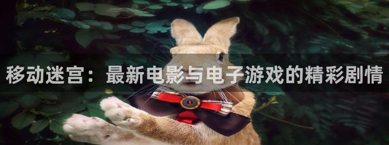 星辰影院电视剧电影网：移动迷宫：最新电影与电子游戏的精彩剧情