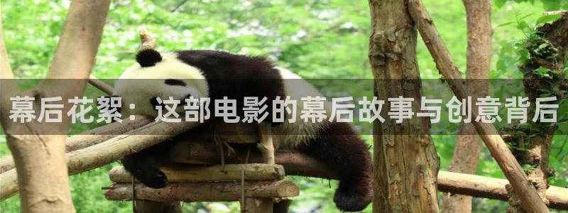 星辰影视大全免费版特色服务介绍：幕后花絮：这部电影的幕后故事与创意背后