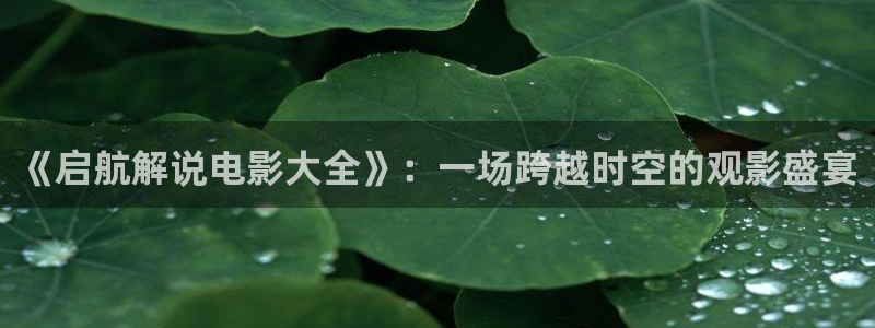 影视大全星辰影院：《启航解说电影大全》：一场跨越时空的观影盛宴