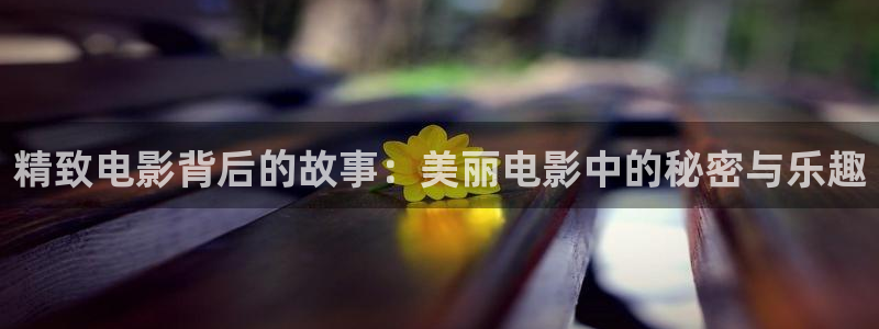 星辰影院免费高清电视剧大全：精致电影背后的故事：美丽电影中的秘密与乐趣