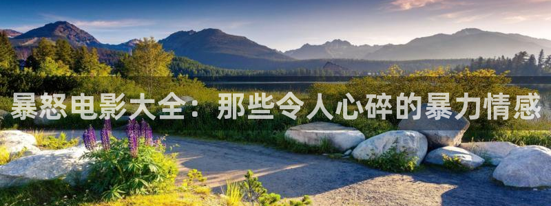 星辰在线播放：暴怒电影大全：那些令人心碎的暴力情感