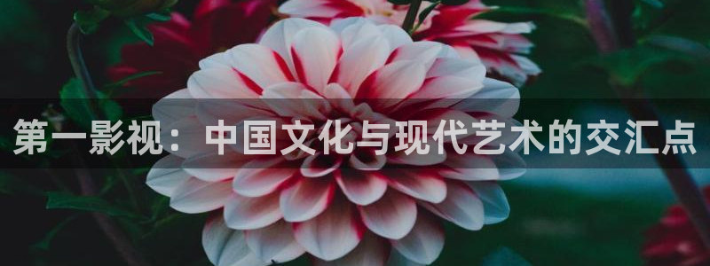 开始推理吧2季星辰影院：第一影视：中国文化与现代艺术的交汇点