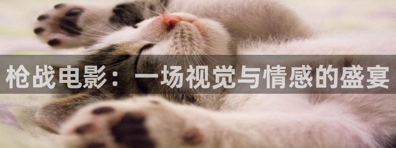 君九龄电视剧星辰影院