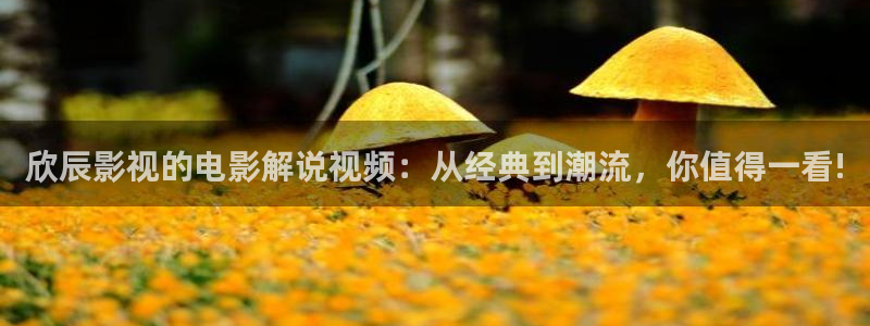 你也有今天星辰影院在线观看