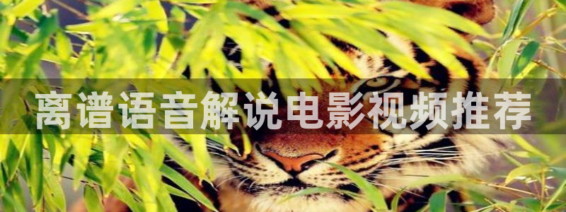 楚汉传奇星辰影院免费