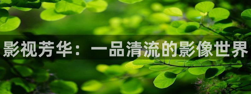 星辰影院在线观看免费高清电视剧