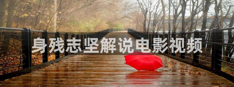 乡村爱情12星辰影院