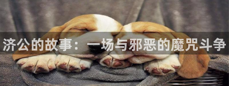 斛珠夫人电视剧免费观看全集星辰影院