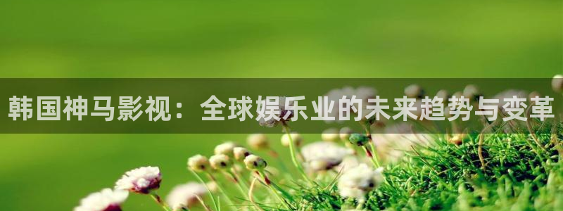 最强大脑第十一季免费观看完整版星辰影院