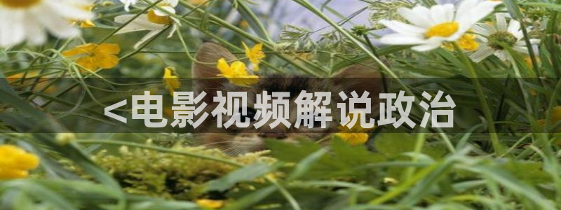 星辰影视app免费看电视剧