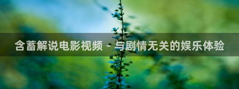 九霄寒夜暖电视剧星辰影视