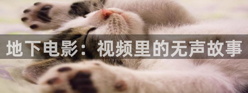 星辰影院在线观看免费观看动漫