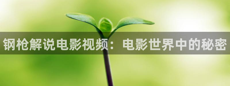叛逆者电视剧全集免费观看星辰影院