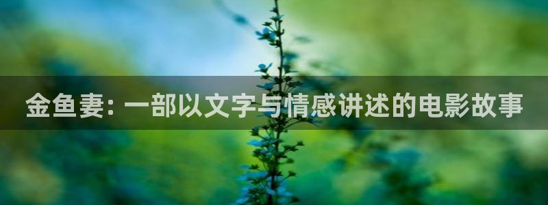 神马影院我不卡星辰
