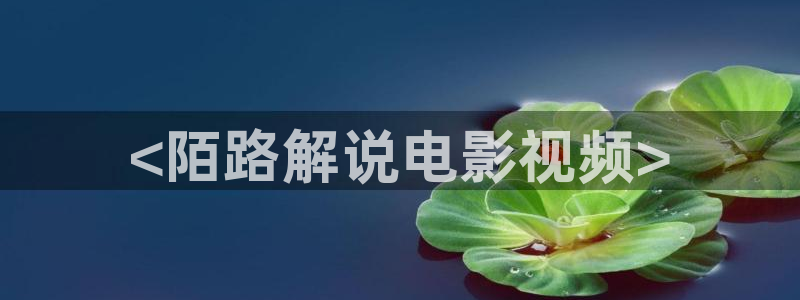 闪耀的她免费播放星辰影视