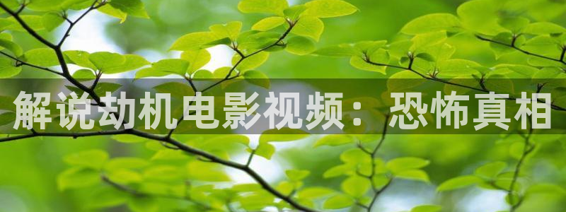 似锦免费观看星辰影院
