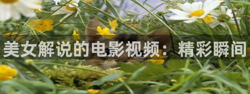 星辰电影免费看