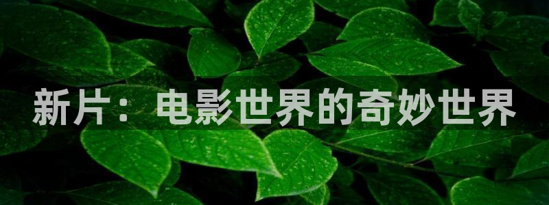 打狗棍星辰影院