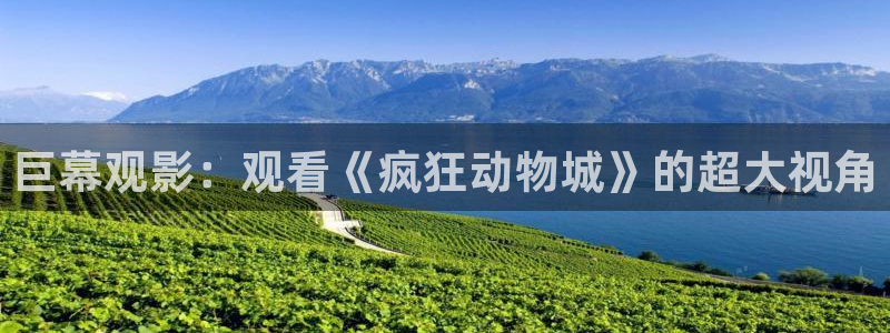 星辰影院美剧网在线观看