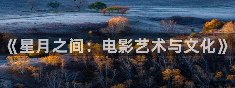 星辰影视在线看全集免费