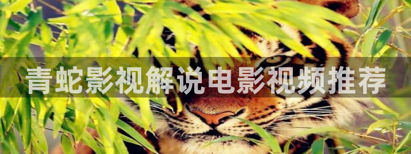星辰影院高清免费观看电视剧