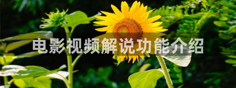 仙逆星辰影视在线观看