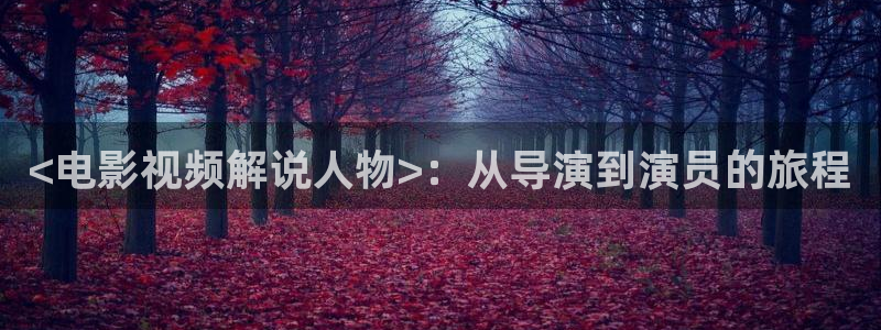 星辰影视免费观看vip