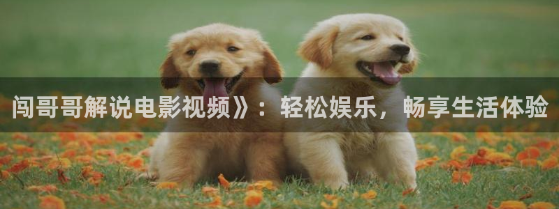 九重紫电视剧星辰影视：闯哥哥解说电影视频》：轻松娱乐，畅享生活体验