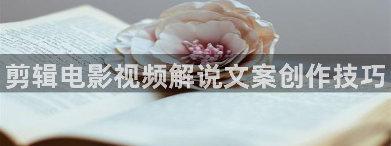 妈妈的朋友在线观看星辰影院