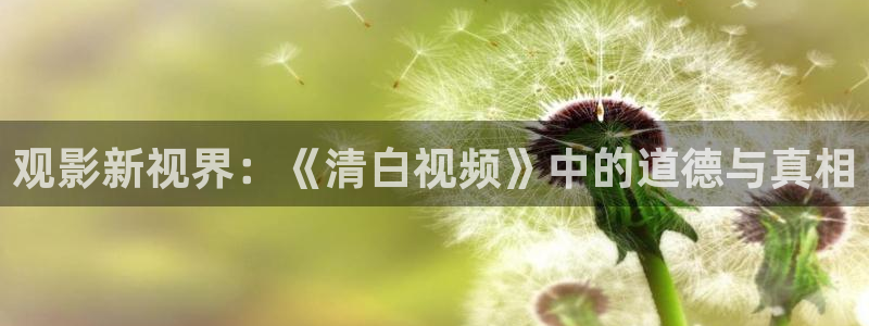 你也有今天电视剧免费观看星辰影院：观影新视界：《清白视频》中的道德与真相
