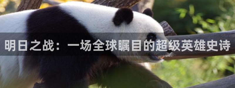 星空星辰影院：明日之战：一场全球瞩目的超级英雄史诗