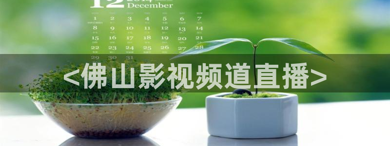 妈妈的朋友在线观看星辰影院：<佛山影视频道直播>