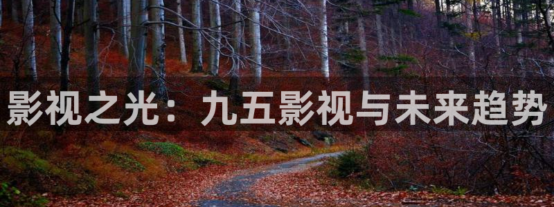 星辰电影高清免费观看：影视之光：九五影视与未来趋势