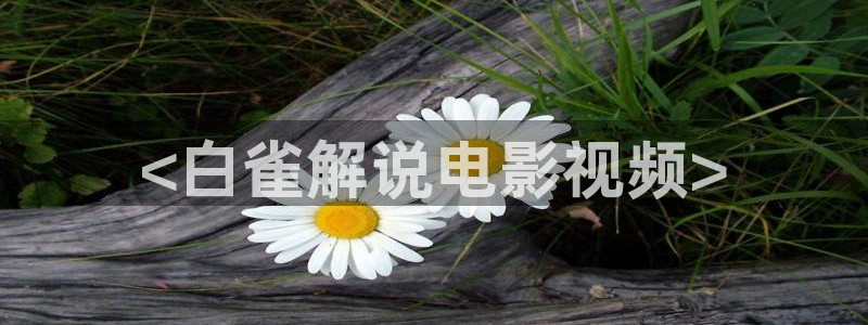 猎罪图鉴1星辰影院在线播放：<白雀解说电影视频>