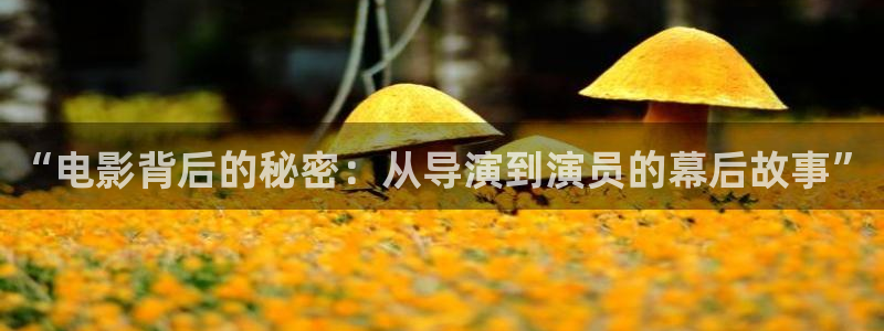 长相思第二季免费看星辰影院