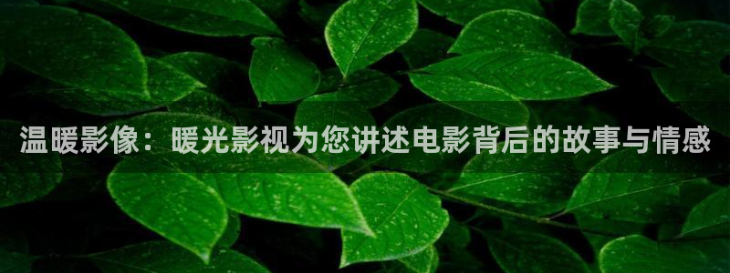 喜羊羊与灰太狼星辰影院