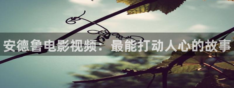 星空星辰影院官网入口