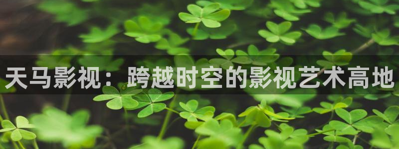值得爱电视剧在线观看星辰影院