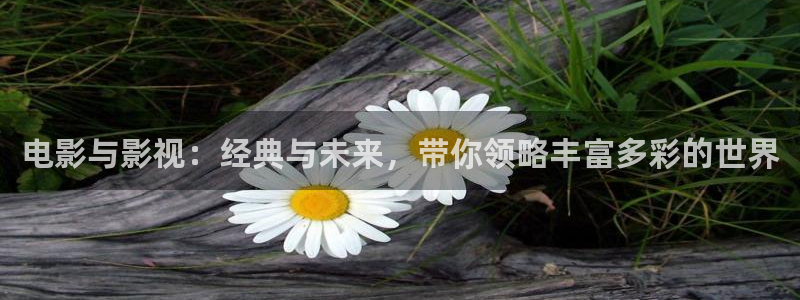 星辰影视高清在线观看