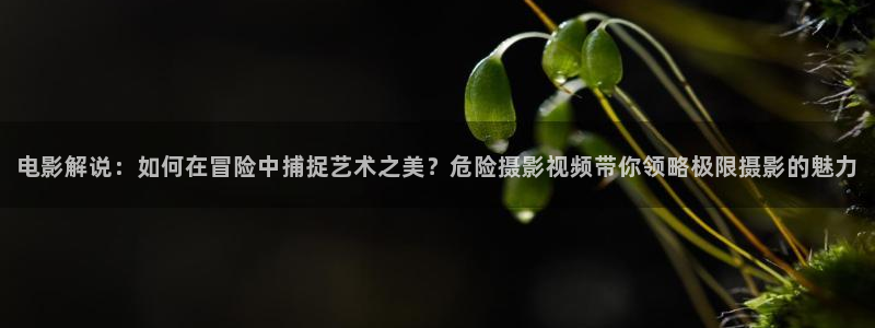 星辰影院在线观看免费