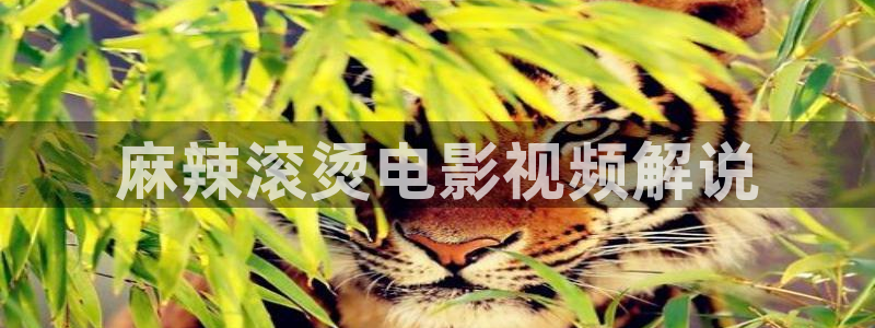星辰影院免费观看完整版高清