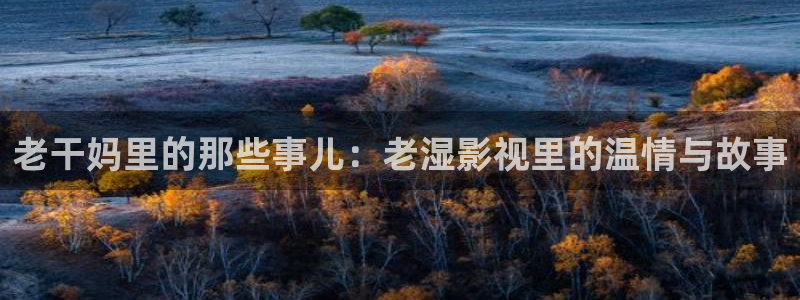 《猎罪图鉴2》免费星辰影院
