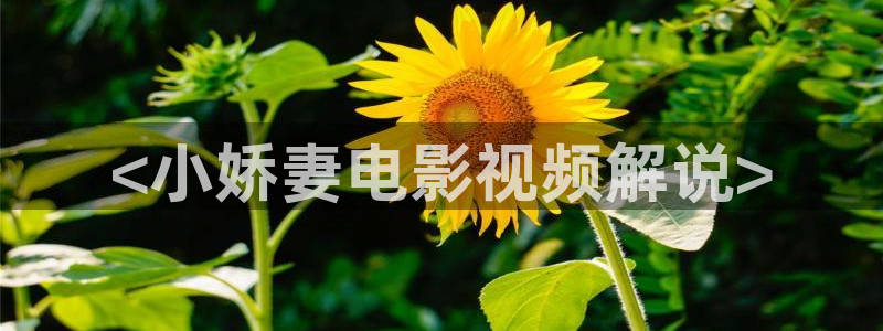 花间令星辰影院