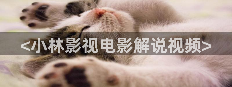 星辰影院在线高清免费观看