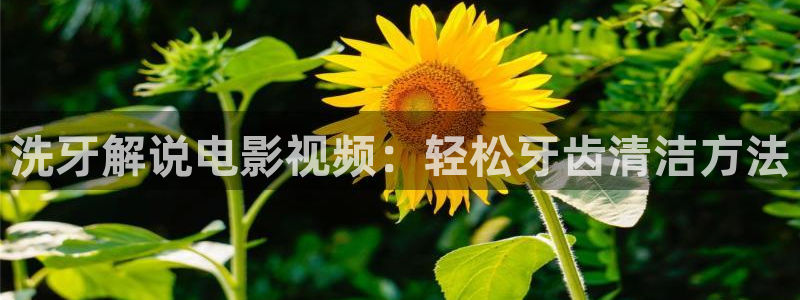星辰影院免费观看全集在线播放
